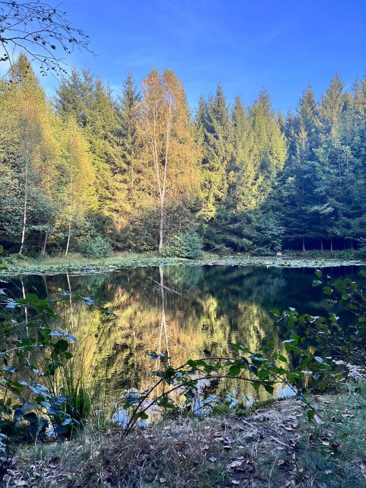 Chalupa Chriby Destne v Orlickych horach Exteriér fotografie