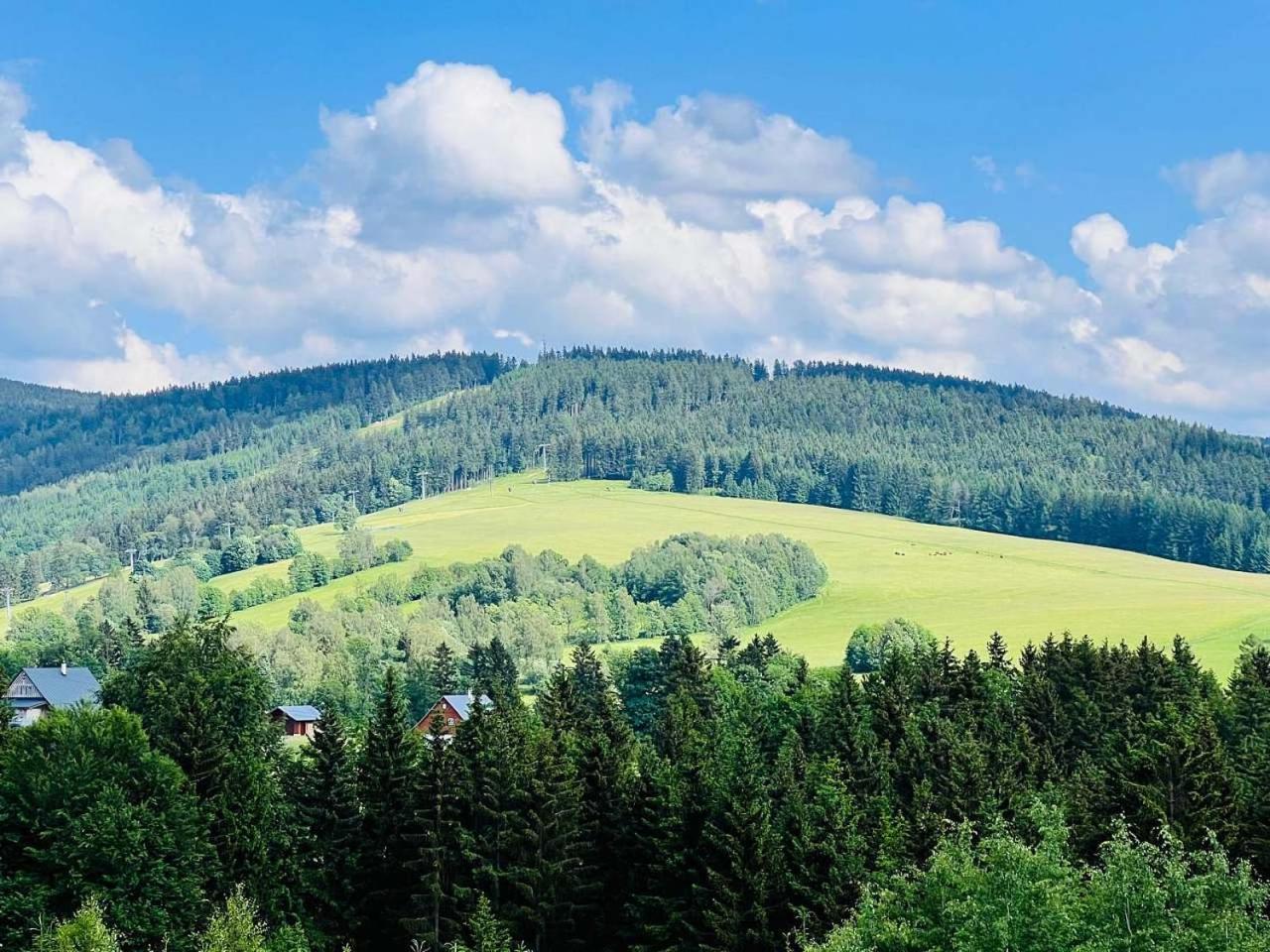 Chalupa Chriby Destne v Orlickych horach Exteriér fotografie